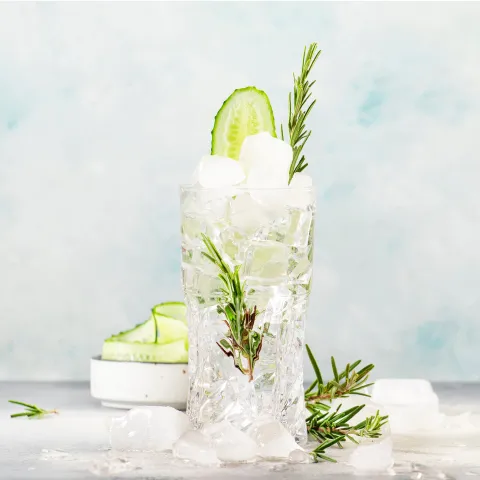 Cucumber Gin & Tonic