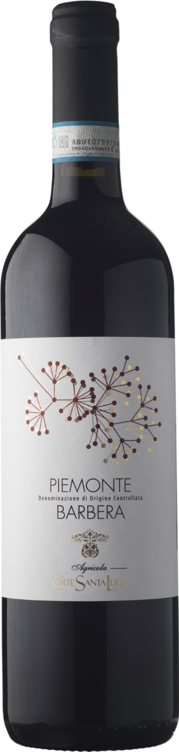 Barbera Piemonte DOC Corte Santa Lucia