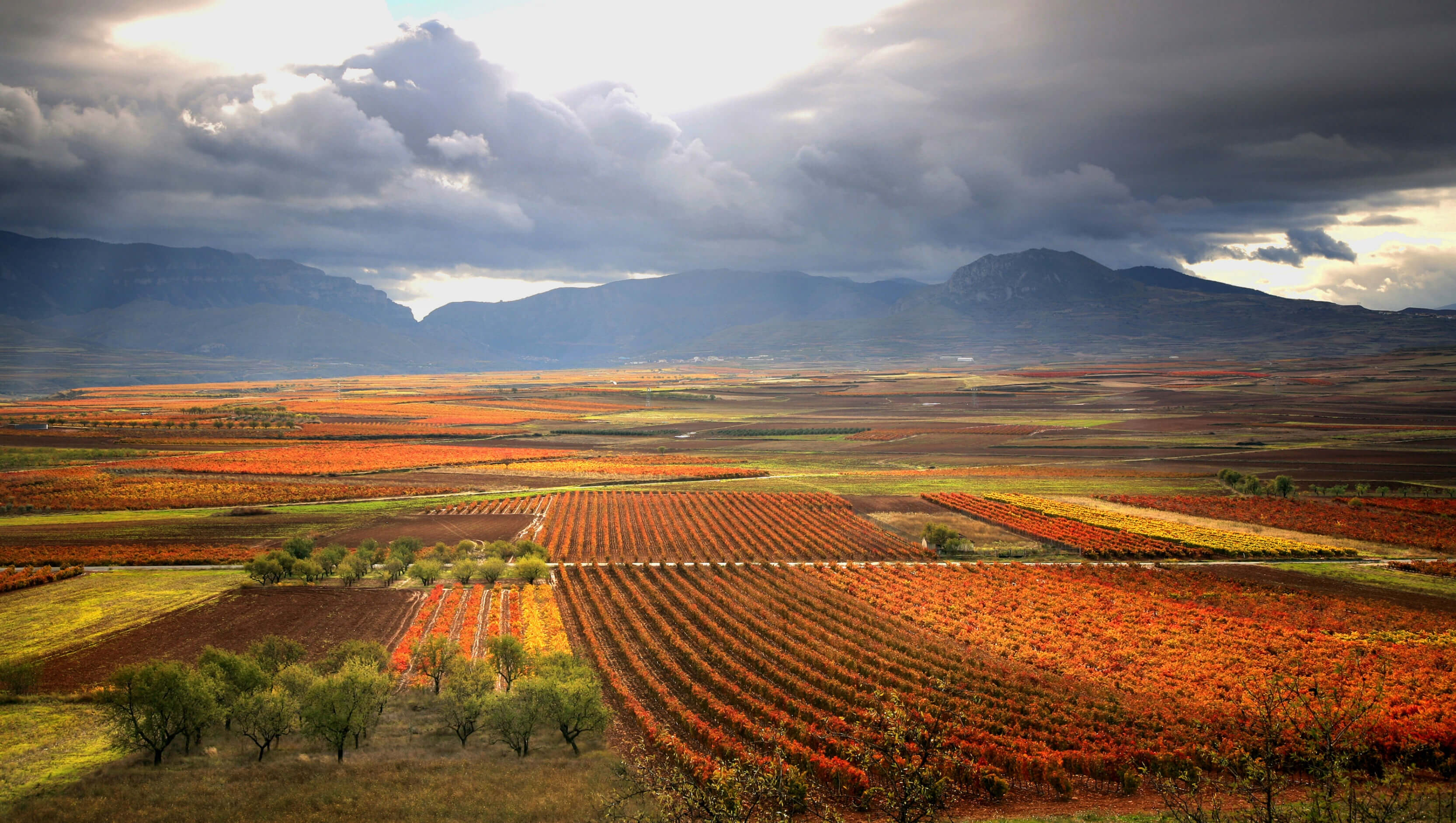 La Rioja Испания