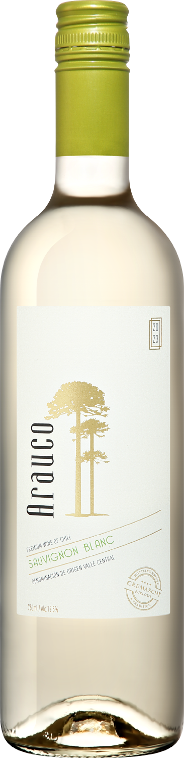 Arauco Sauvignon Blanc Central Valley DO Vitivinicola Cremaschi Barriga
