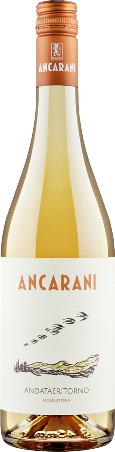 Ancarani Andataeritorno Roundtrip