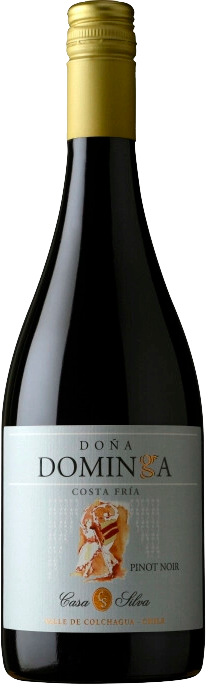 Doña Dominga Pinot Noir Costa Fria Colchagua Valley DO Casa Silva