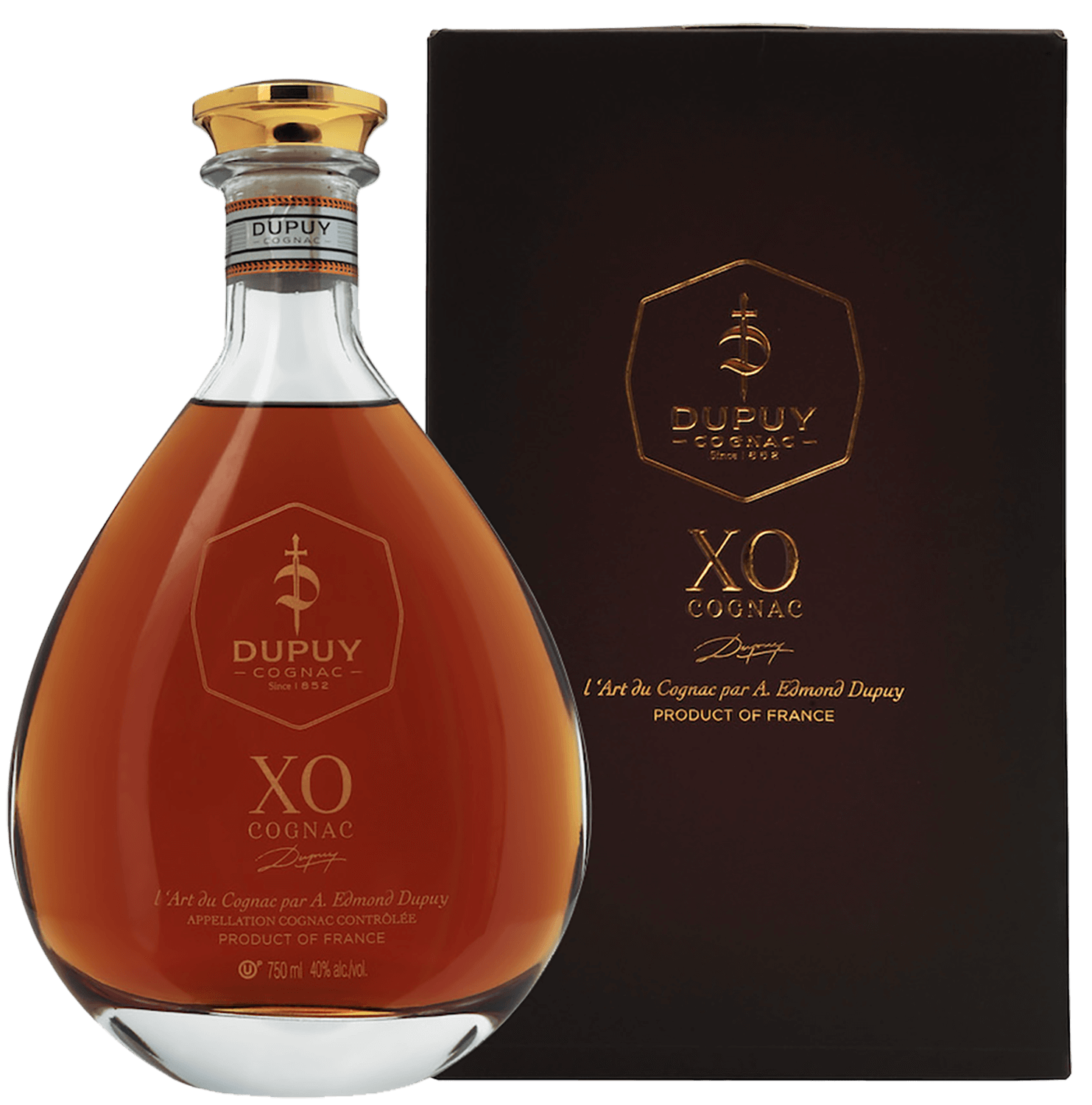 Коньяк Dupuy Cognac XO (gift box) 0.7 л (Дюпюи Коньяк XO в подарочной  упаковке), купить в магазине в Москве - цена, отзывы