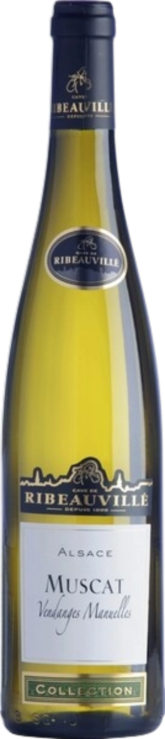Muscat Alsace AOC Cave de Ribeauville