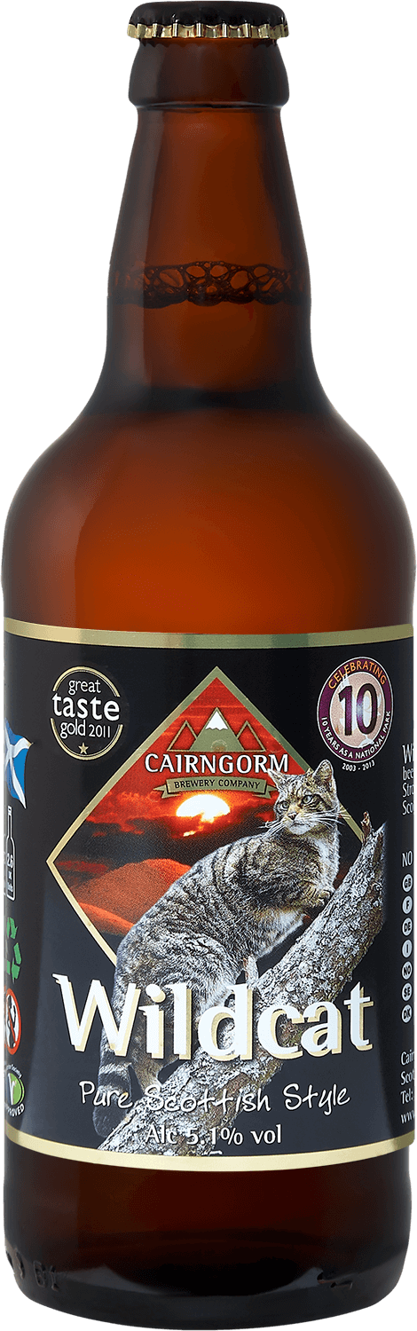 Cairngorm Wild Cat