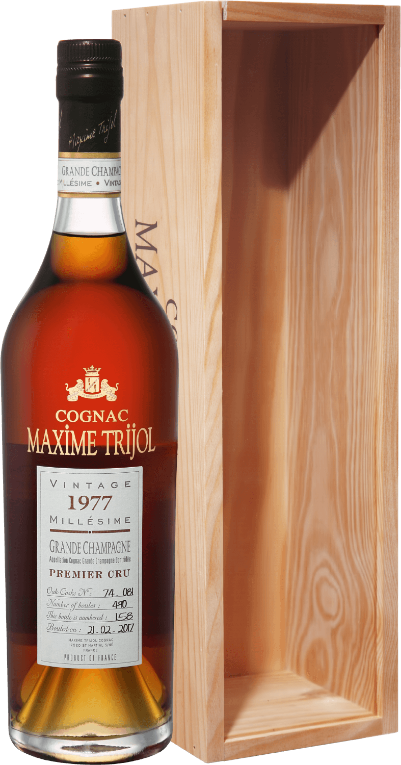 Maxime Trijol Cognac Grande Champagne Premier Cru 1977 (gift box) maxime trijol cognac fins bois 1970 gift box