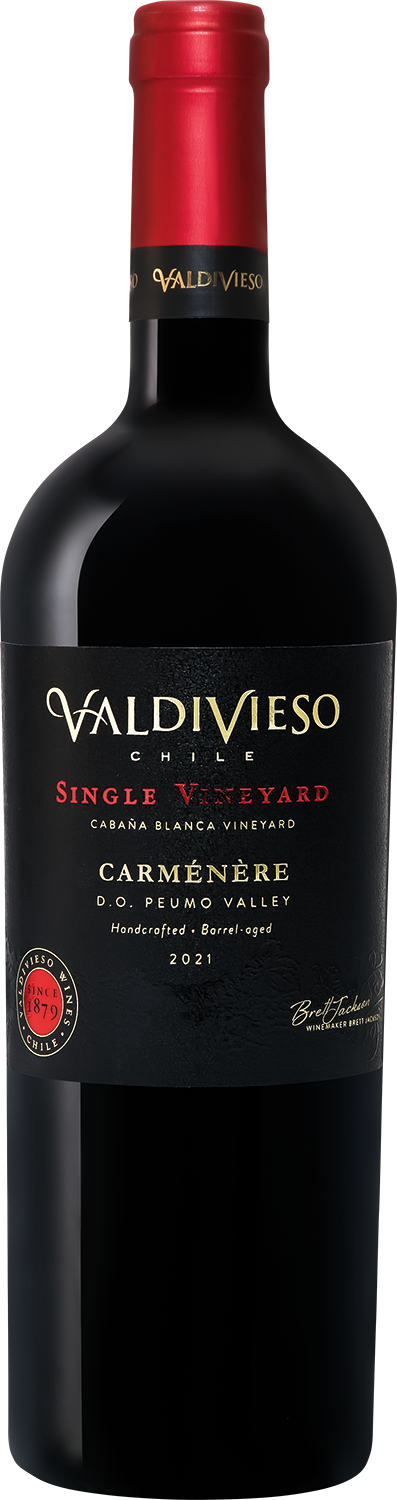 Сингл Виньярд Карменер Пуэмо DO Вальдивиесо 2021 0.75&nbsp;л