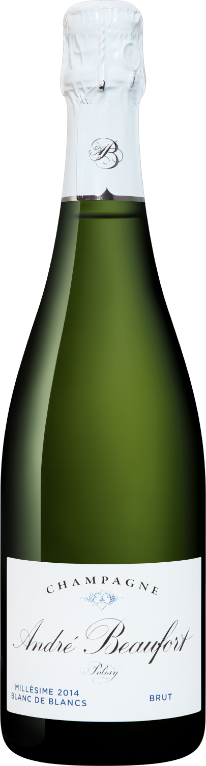 Andre Beaufort Polisy Blanc de Blancs Millesime Champagne AOC