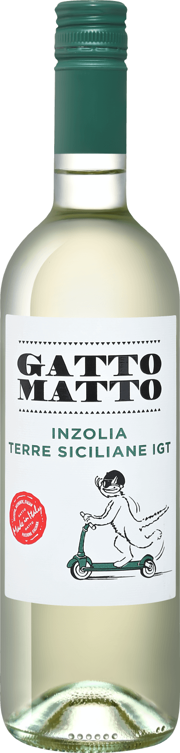Gatto Matto Inzolia Terre Siciliane IGT Villa Degli Olmi villa alba pinot grigio rosato terre siciliane igt botter