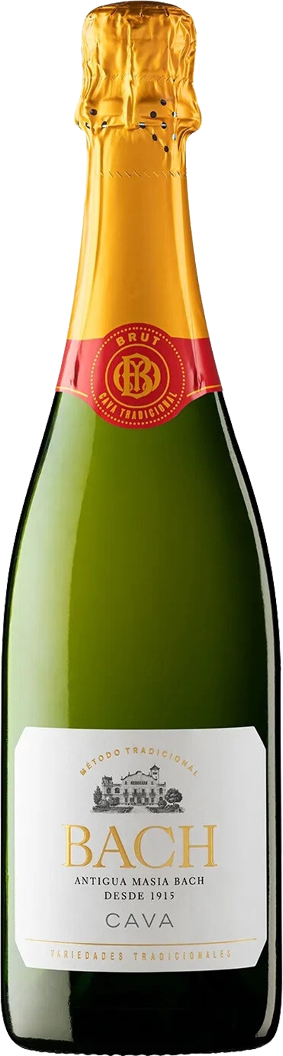 Bach Extrisimo Cava DO Brut