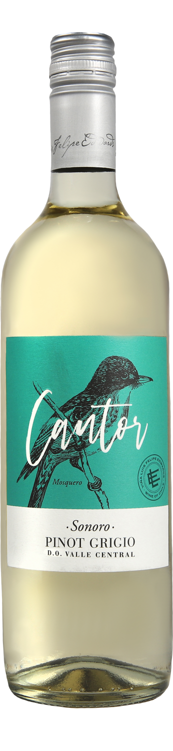 Cantor Sonoro Pinot Grigio Central Valley DO Luis Felipe Edwards