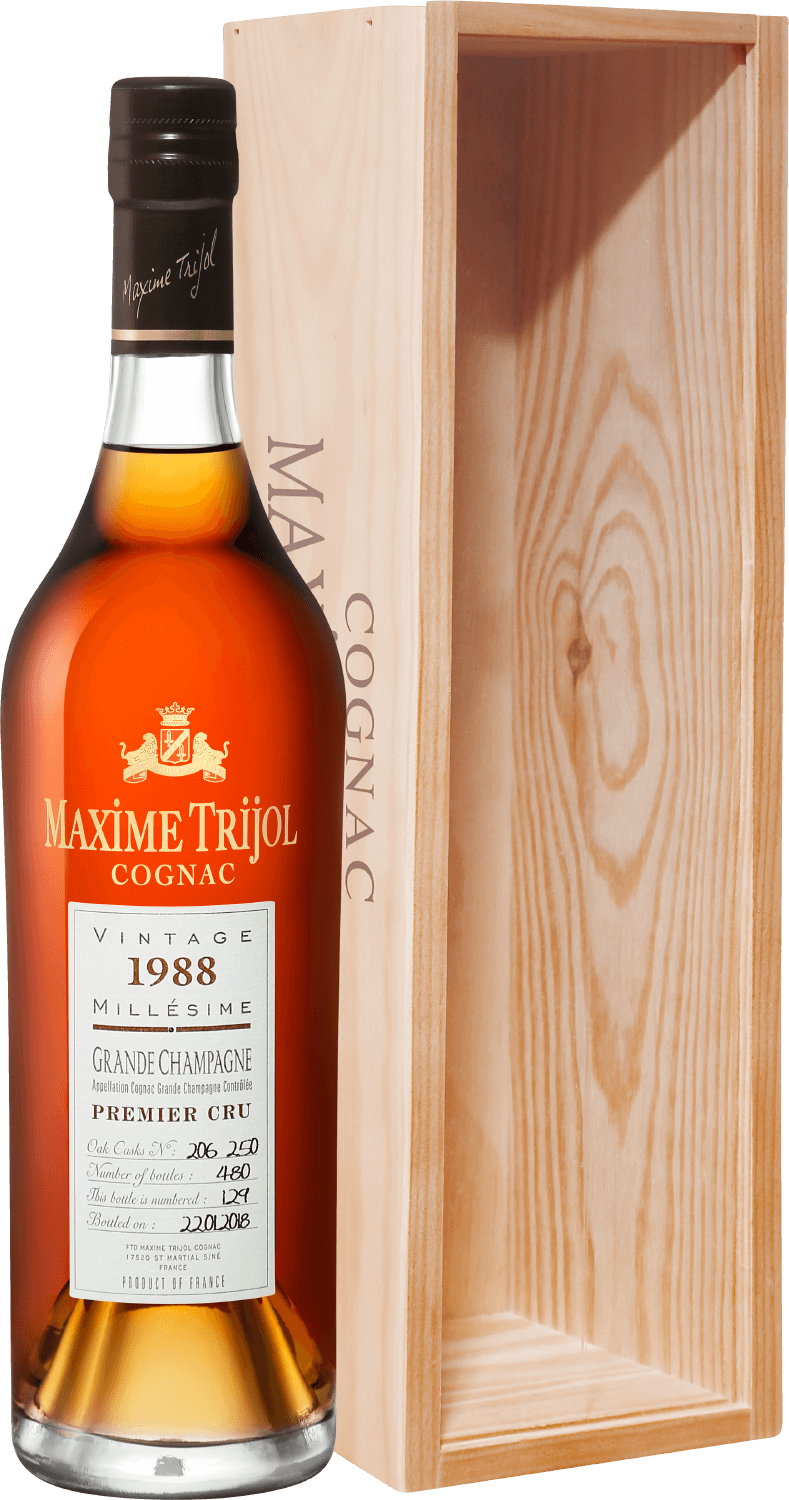 Maxime Trijol Cognac Grande Champagne 1er Cru 1988 (gift box) maxime trijol cognac fins bois 1979 gift box