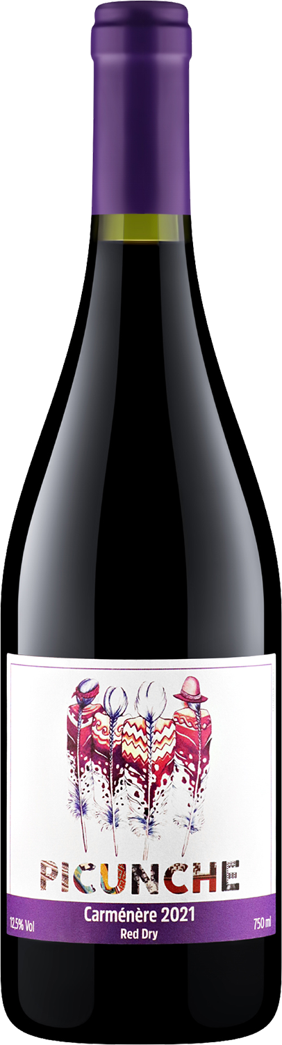 Пикунче Карменер Сэнтрал Вэлли DO 0.75&nbsp;л