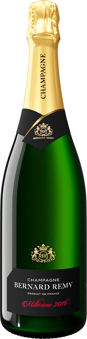 Bernard Remy Champagne AOC Millesime Brut