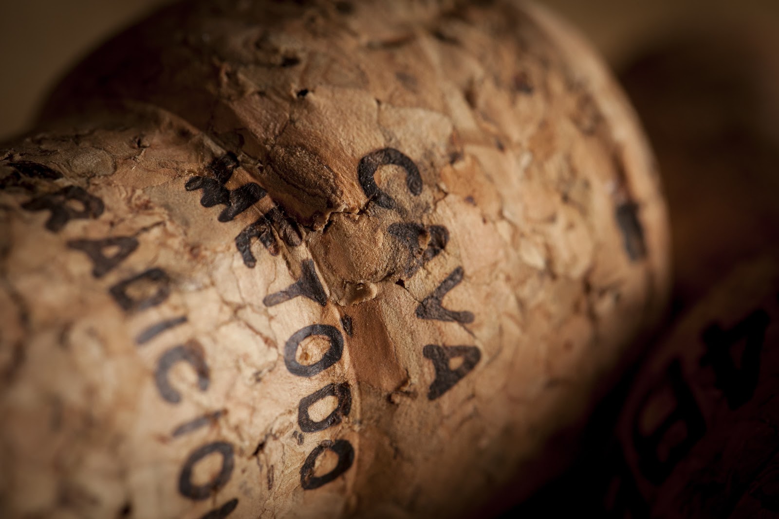 История кавы: от первого игристого в Испании до винной революции