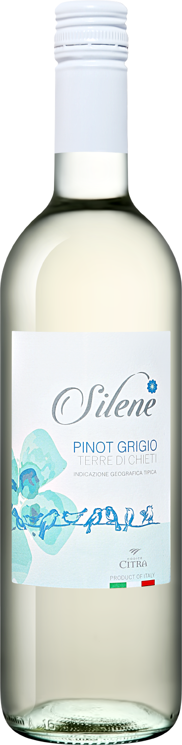 Silene Pinot Grigio Terre di Chieti IGT Citra вино dessimis pinot grigio vie di romans 2016 г