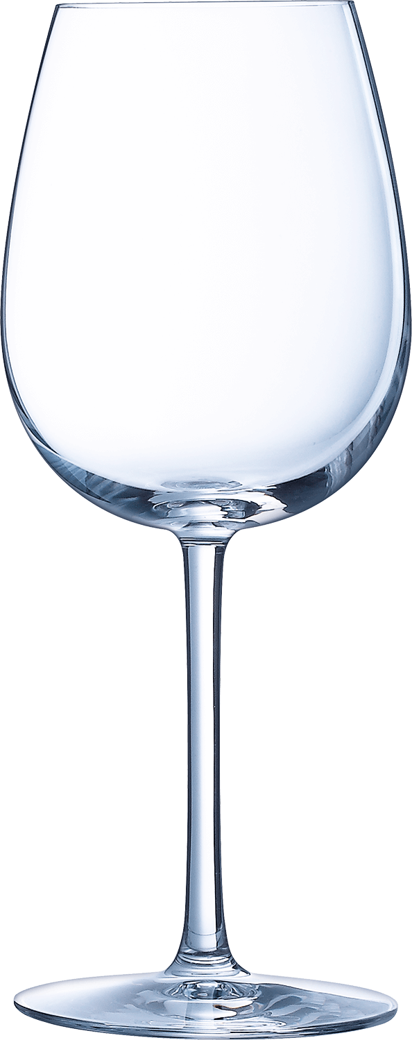 Энолог Эксперт Стэмд Гласс (набор из 6 винных бокалов) 0.45&nbsp;л
