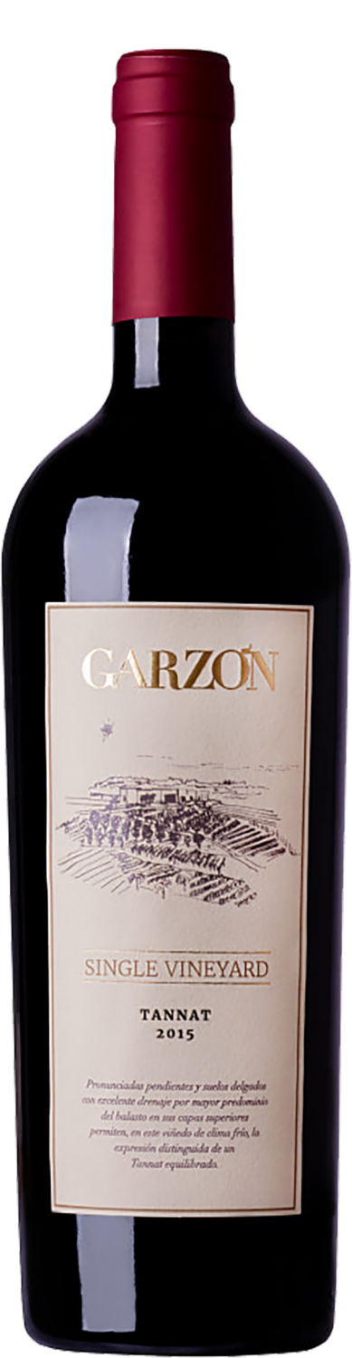 Garzon Single Vineyard Tannat