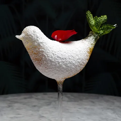 Bird of Paradise