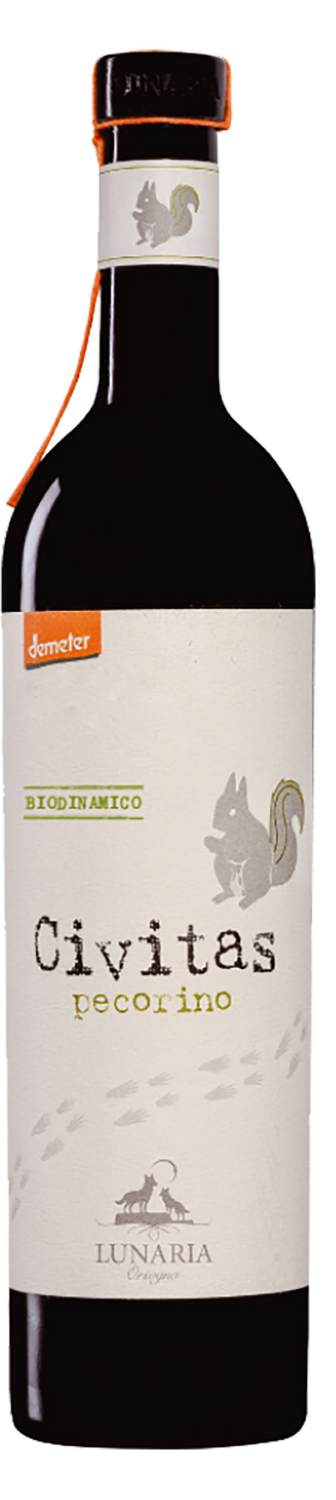 Lunaria Chivitas Pecorino Terre di Chieti IGT Cantina Orsogna