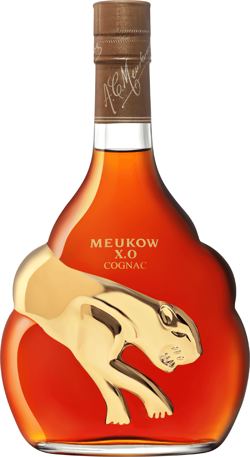 Meukow cognac. Meukow XO Cognac. XO Cognac Meukow 05. Коньяк Меуков Хо 0.5.