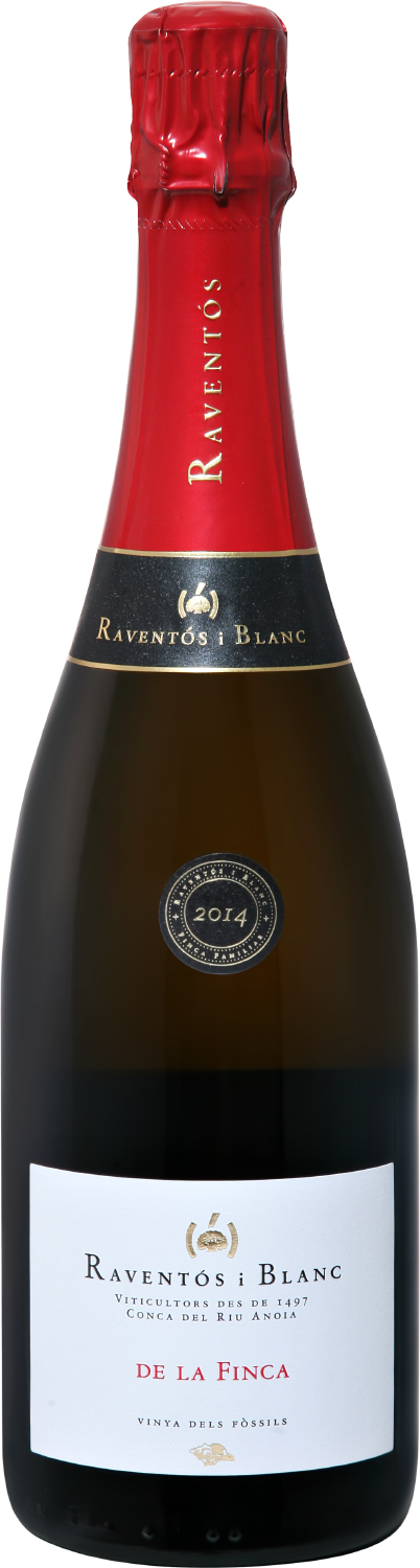 Raventos I Blanc De La Finca Brut  Conca Del Riu Anoia