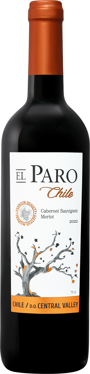 El Paro Cabernet Sauvignon Merlot Central Valley DO Vina del Pedregal