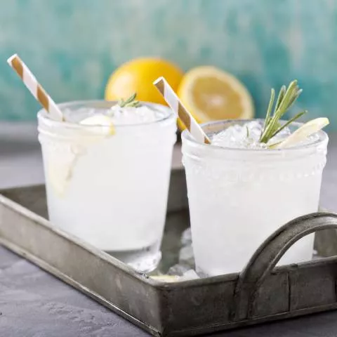 Frozen Gin and Tonic