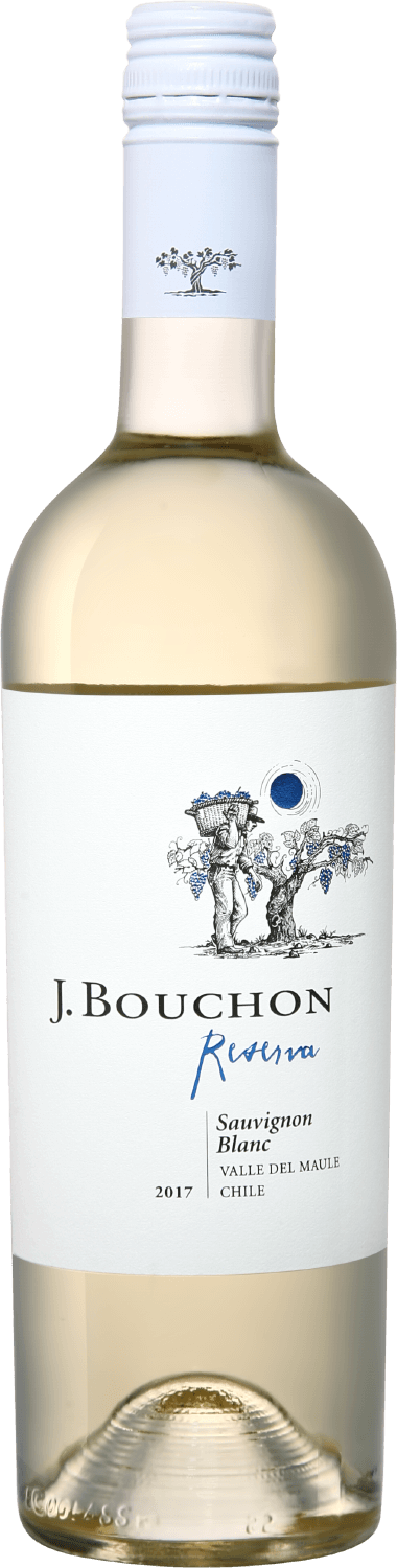 Sauvignon Blanc Reserva Maule DO J. Bouchon g7 sauvignon blanc maule valley do viña del pedregal