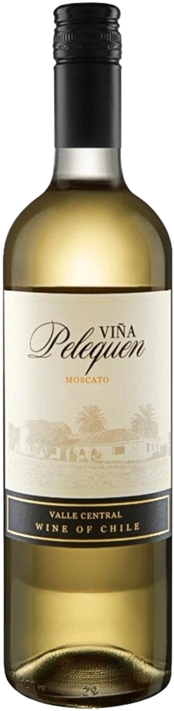 Vina Pelequen Moscato Central Valle DO