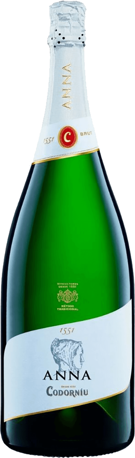 Шампанское anna. Codorniu Cava Brut. Шампанское Анна Кодорнью. Игристое вино Anna de Codorniu Brut, 0.75 л. Шампанское Анна брют.