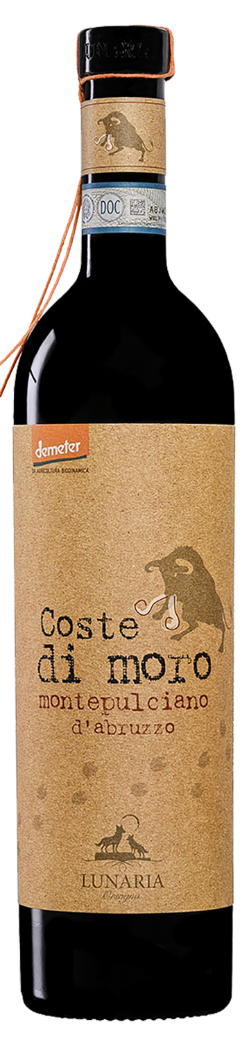 Lunaria Coste di Moro Montepulciano d'Abruzzo DOС Cantina Orsogna