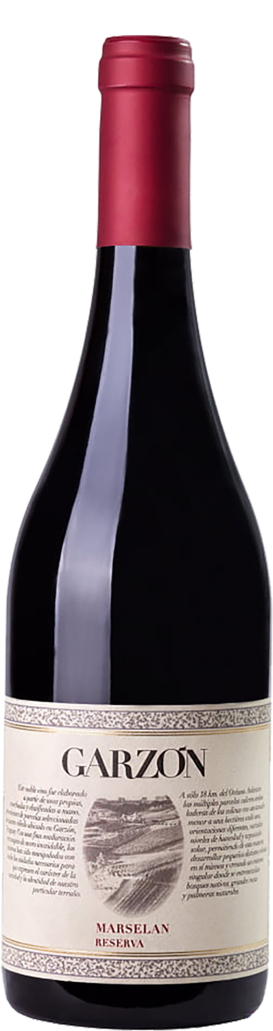 Garzon Reserva Marselan