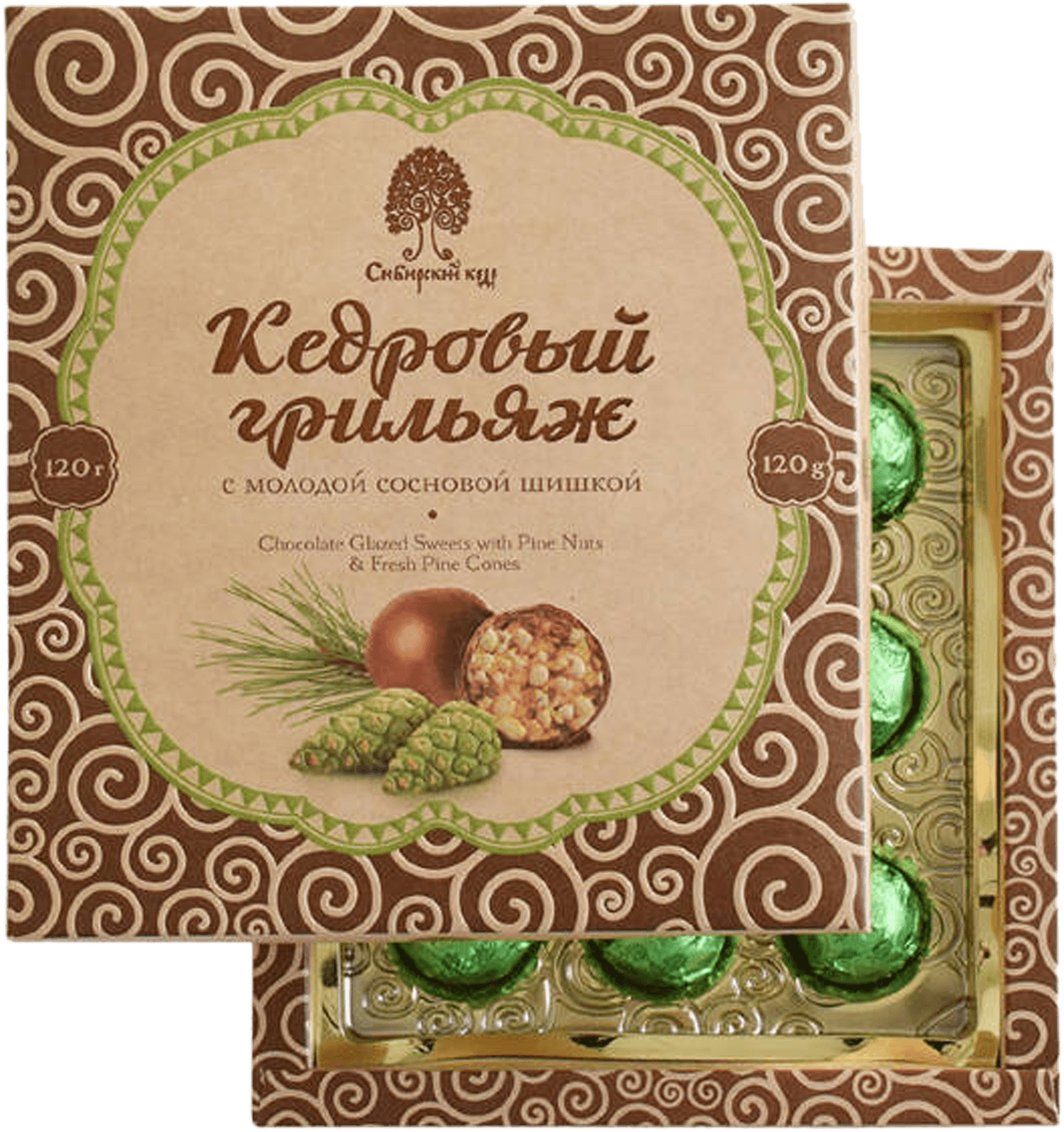 Chocolate Glazed Sweets with Fresh Pine Cones Siberian Cedar pine nut brittle selection siberian cedar