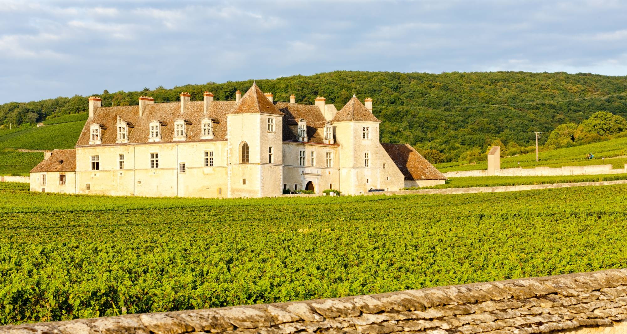 Bodega, château, quinta: как называются винодельни в разных странах