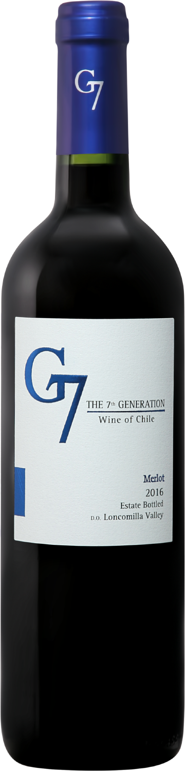 G7 Merlot Loncomilla Valley DO Viña del Pedregal