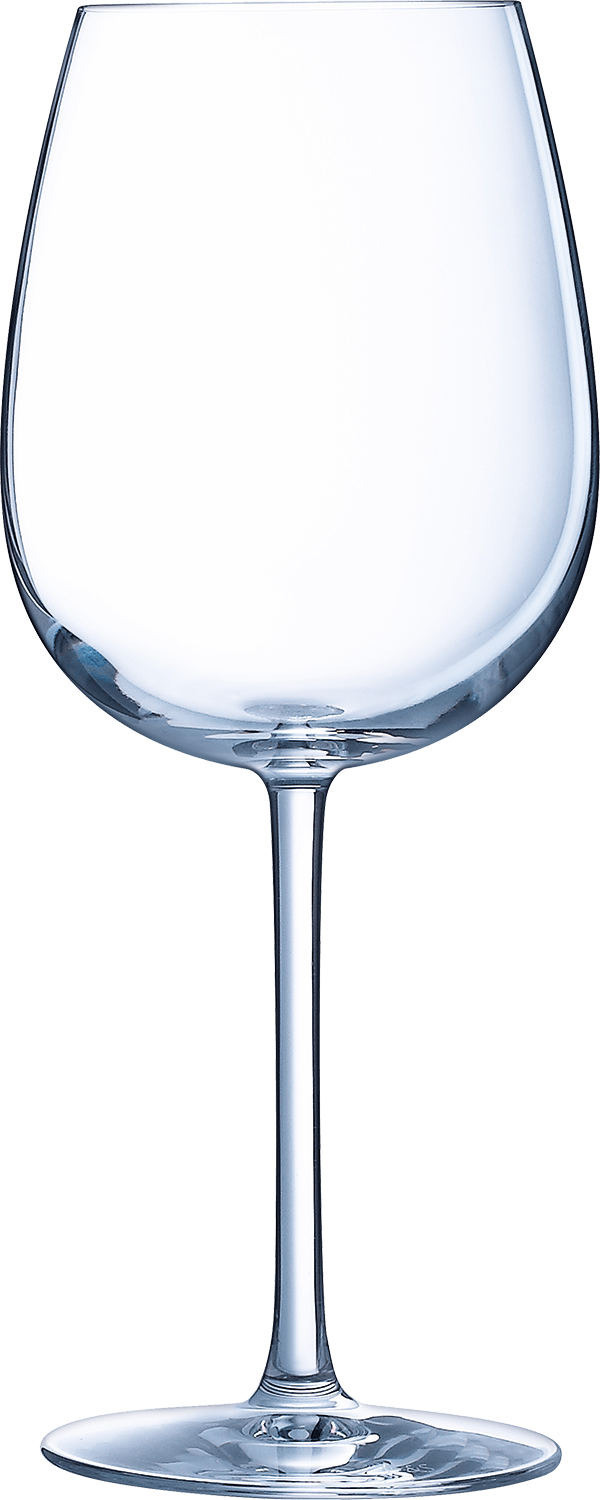 Oenologue Expert Stemmed Glass (set of 6 wine glasses)
