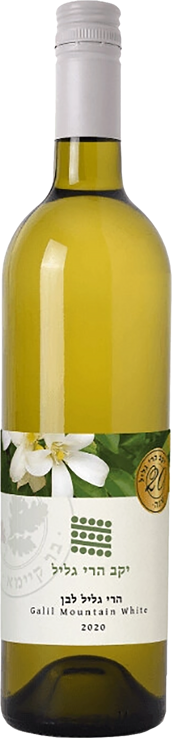 Galil Mountain White