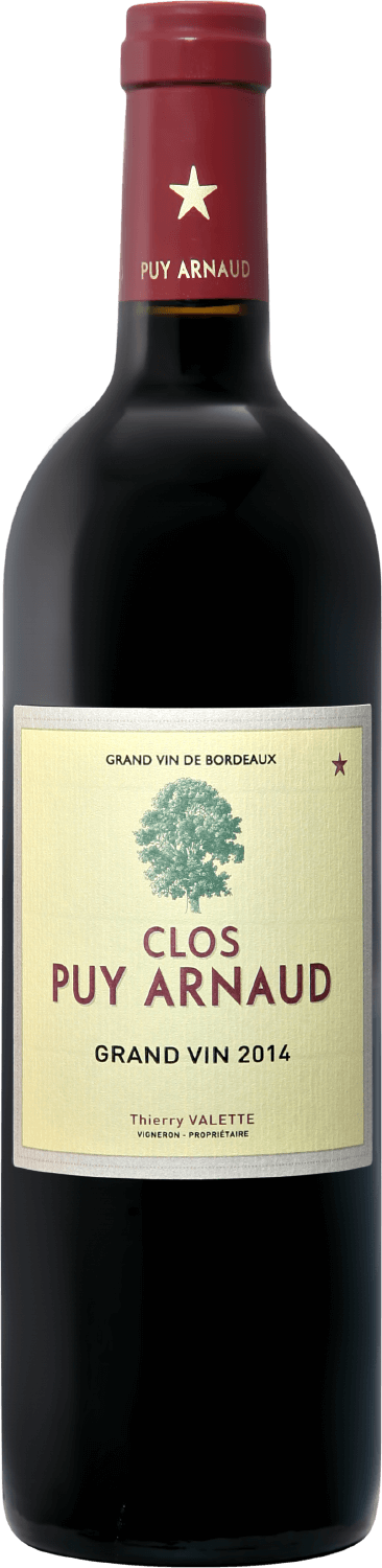 Clos Puy Arnaud Castillon Côtes De Bordeaux AOC saint cyr en bourg terres rouges saumur champigny aoc arnaud lambert