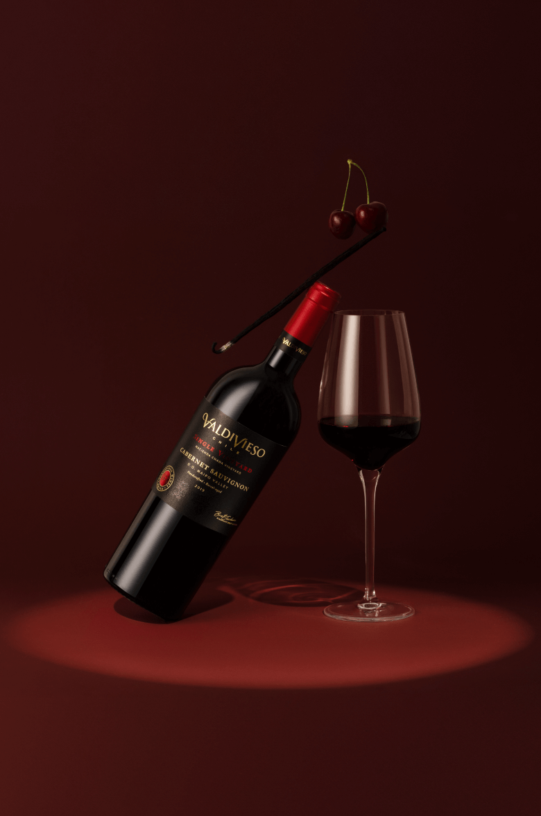 Сингл Виньярд Каберне Совиньон Майпо Вэлли DO Вальдивиесо 2019 0.75&nbsp;л