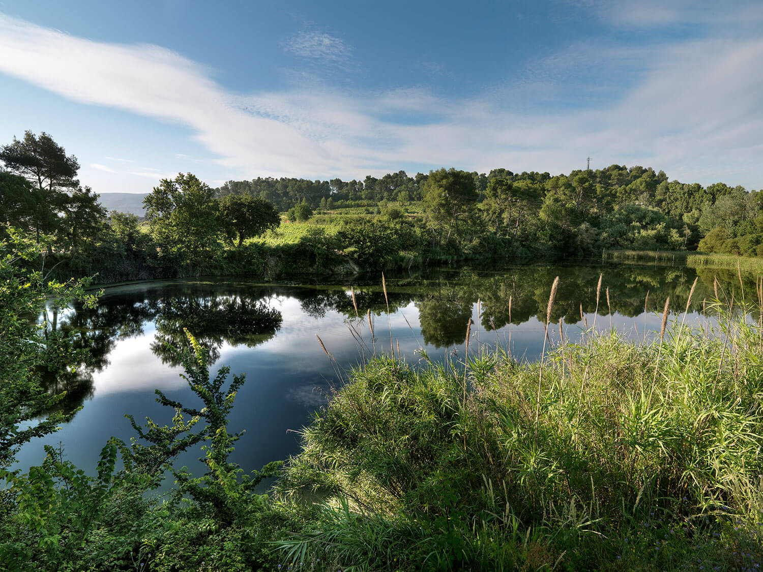 Франсеск Эскала: «Мы не любим быть как все»