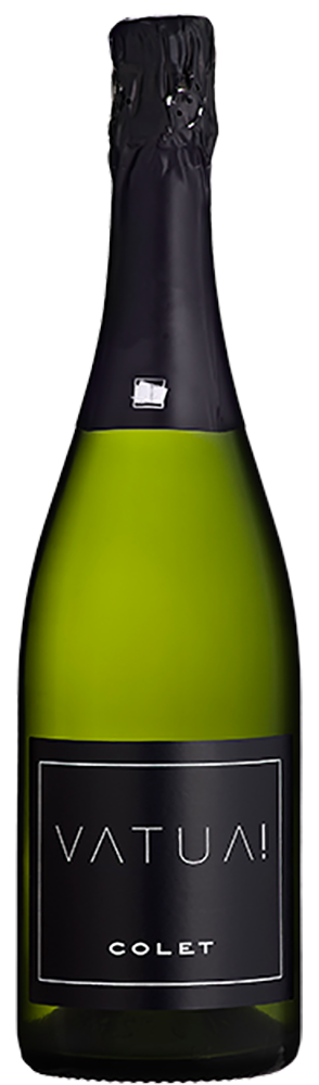 Vatua Extra Brut Classic Penedes DO Colet