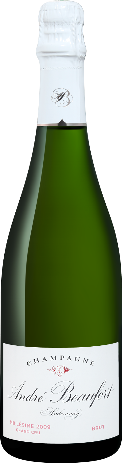 Andre Beaufort Ambonnay Grand Cru Millesime Champagne AOC