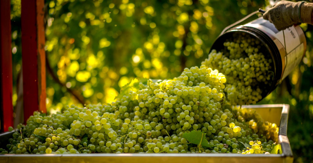 shutterstock_2129169269.jpg shutterstock_2129169269.jpg