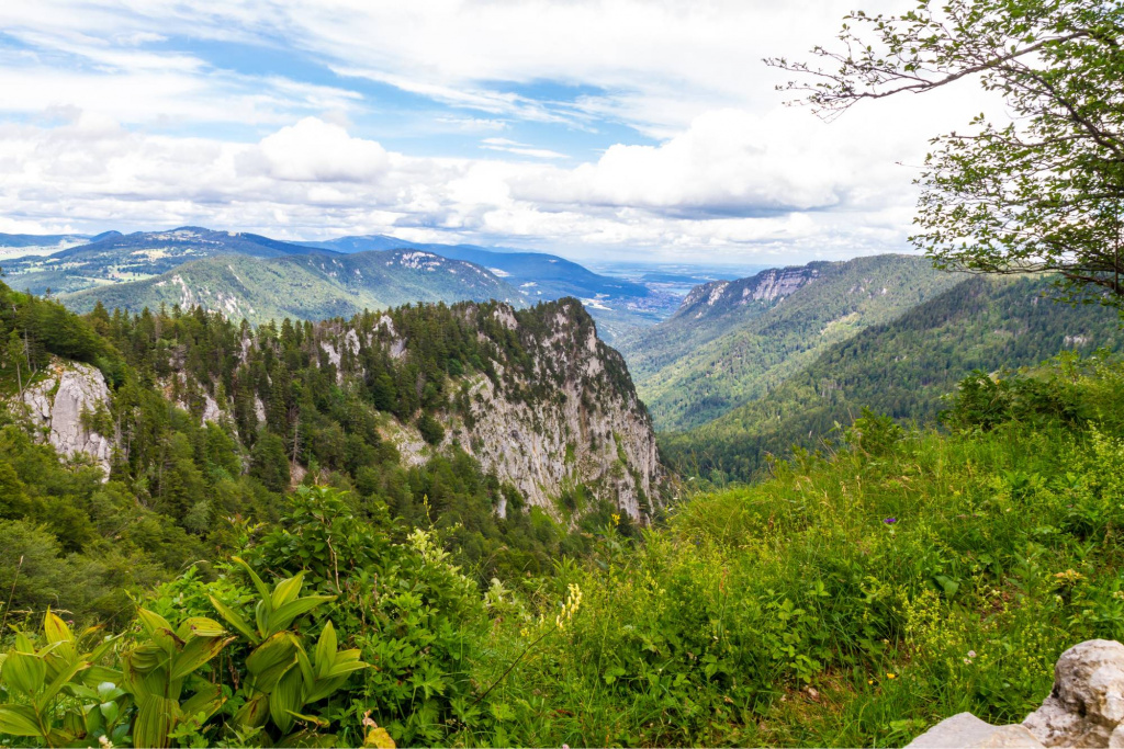 shutterstock_2082594454.jpg shutterstock_2082594454.jpg