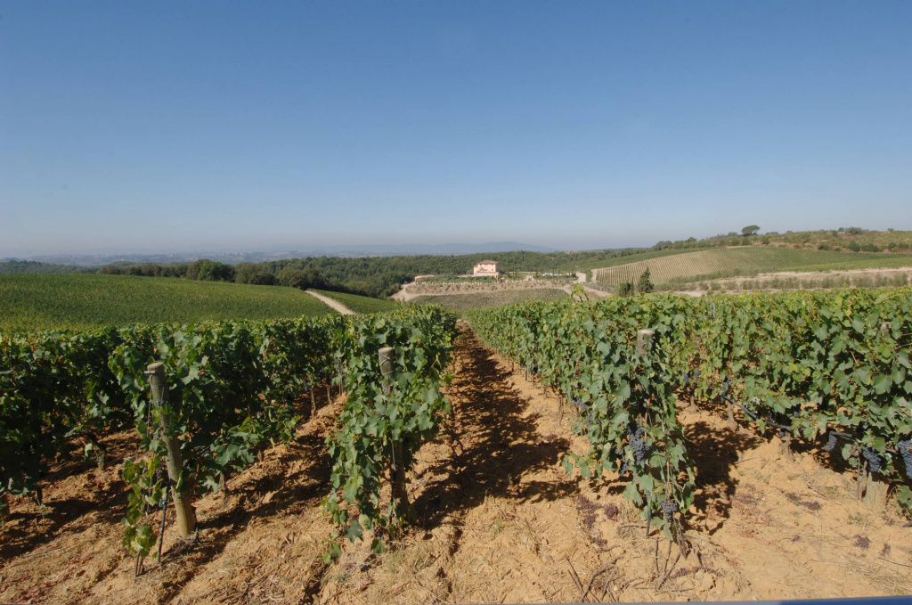 view-from-montebello-vineyard-86-d.jpg