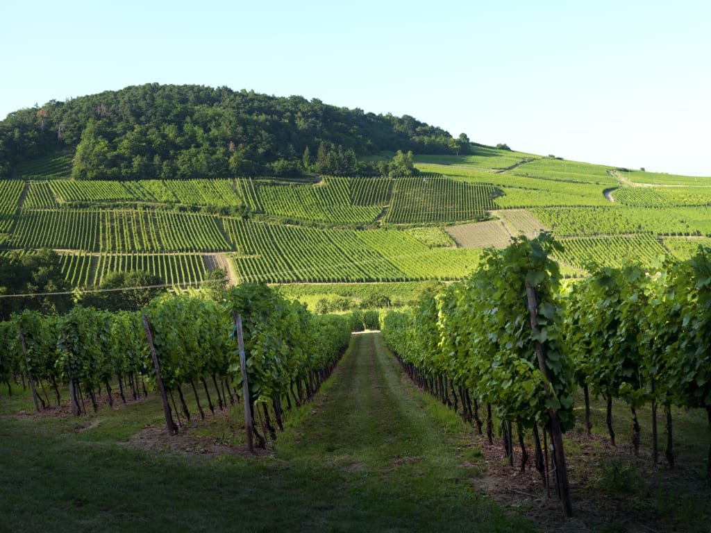 brand-sites-philipson-soderberg-images-France -Gustave Lorentz-Lorentz_6137196_fjdayo.jpeg