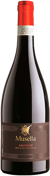 Вино I Saltari Amarone della Valpolicella DOCG Sartori, 0.75 л