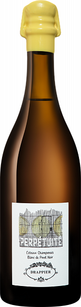 Вино Perpetuite Blanc de Pinot Noir Coteaux Champenois AOC Drappier, 0.75 л