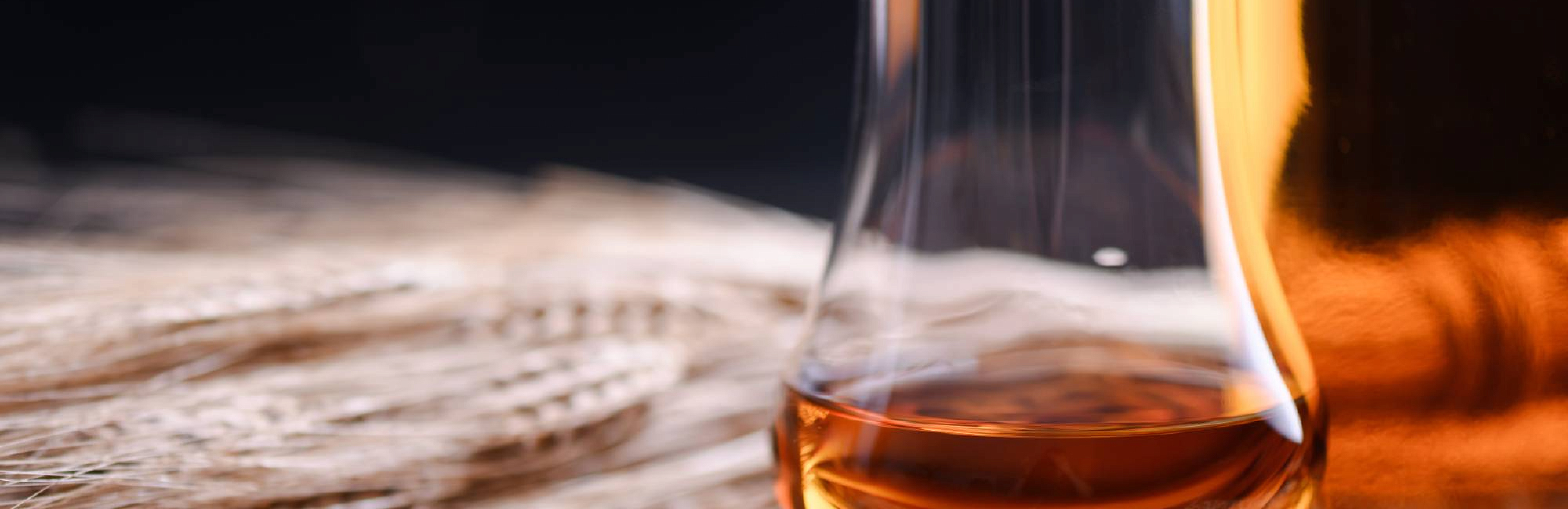 Тот самый malt: почему виски делают из ячменя?